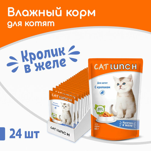      Cat Lunch  24 .  2040  (  )   -     , -  