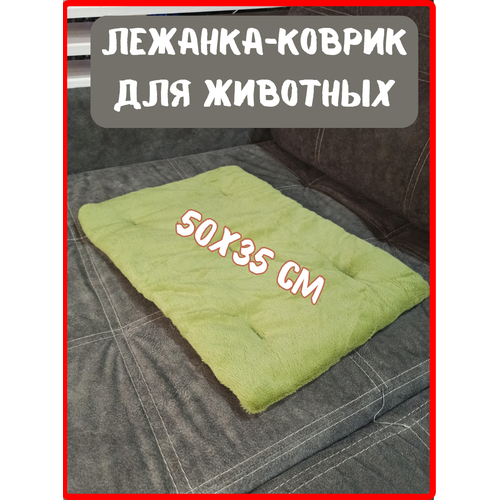 ���� �������-������ ��������� ��� ��������, 50�35 ��, ����� ��� ����� �������, ������ ������