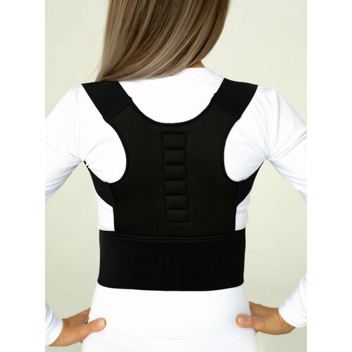 ���� ��������� ��������� ������ (���������) � ���������� ��������� BIOMAG - ������ - BIOMAGNETIC, ������ ������