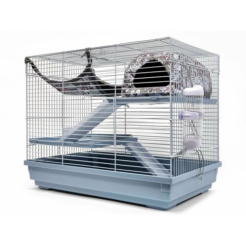 ���� ������ ��� ��������, N1, ������ ��� ����� c ����������: ����� � ������ ����� (����� 