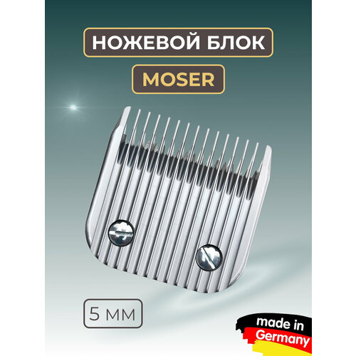    Moser  1245 5   5        -     , -  