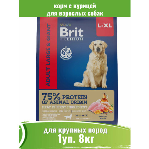  Brit Premium 8              -     , -  