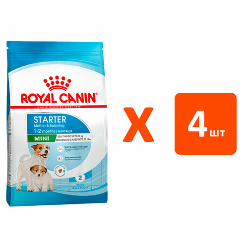  ROYAL CANIN MINI STARTER      2 ,     1   4    -     , -  