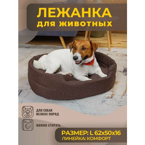 ���� ����� ��� ����� � ����� ������� ����� �� �������, ������ ������