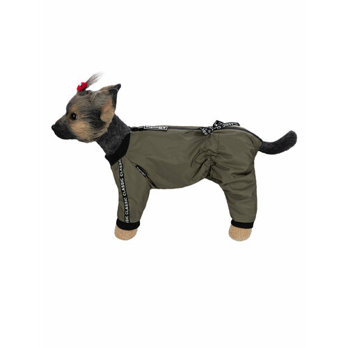  NEW!    DogModa   ,  , , .5   -     , -  