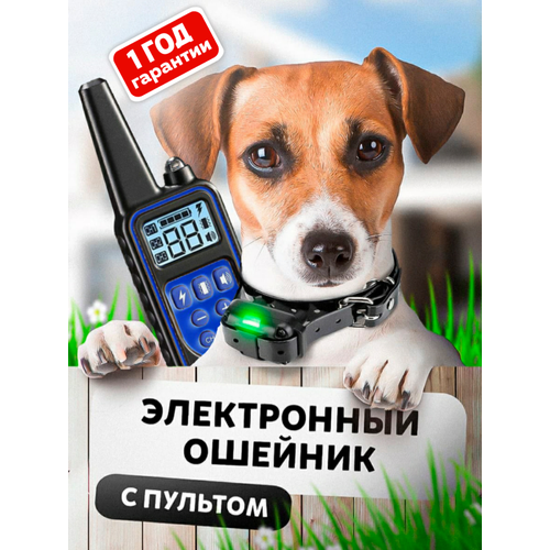 ���� ������� ����������� �������������� ��� ����� �����, ������ ������