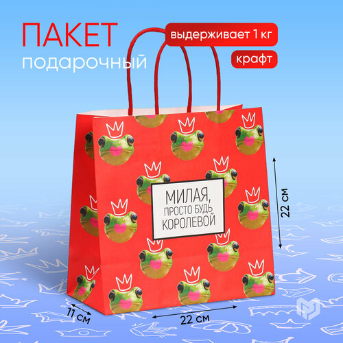 ���� ����� ���������� ���������� ����� ���������, 22 � 22 � 11 ��, ������ ������