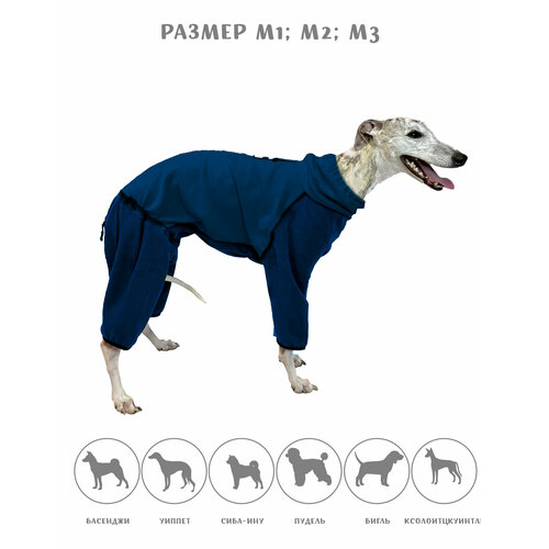 ���� �������� ���������� ��� ����� �� ������, ���� �����, ������ �4, ������ ������