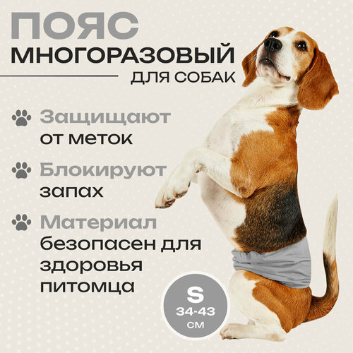 ���� ���� ��� ������� ������������ ������� �����, ��������, ���������� � ���� ������� �� �������� ���, ������ ������