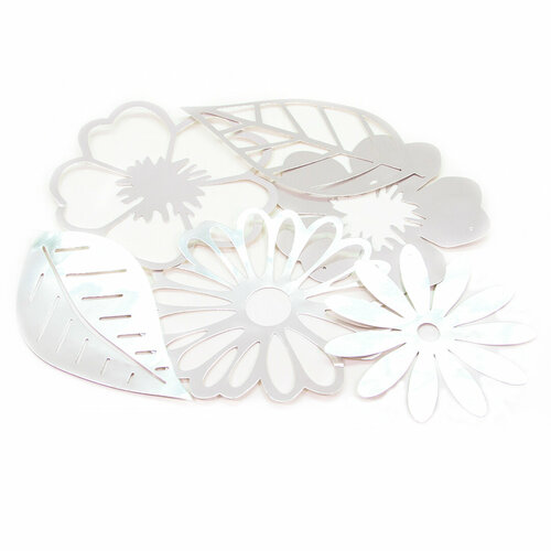 ���� �������� ����� � ������, �������, ��������, 250 ��, 1 ����., ������ ������