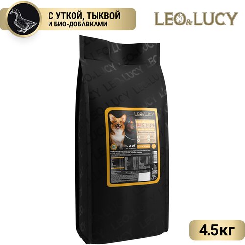  Leo & Lucy -       ,  ,   , 1.6  30473   -     , -,   