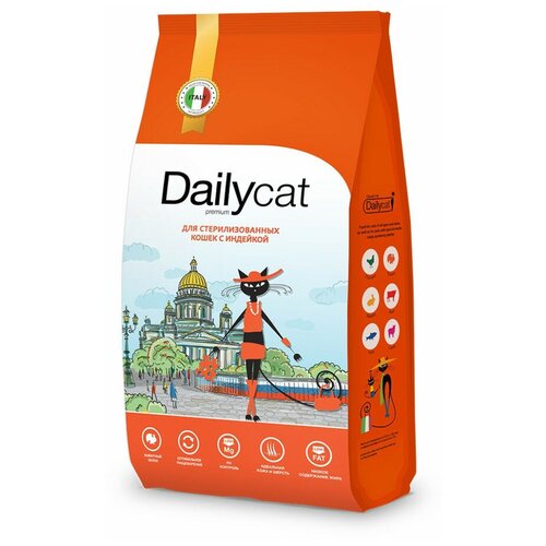  Dailycat Casual         - 400    -     , -,   