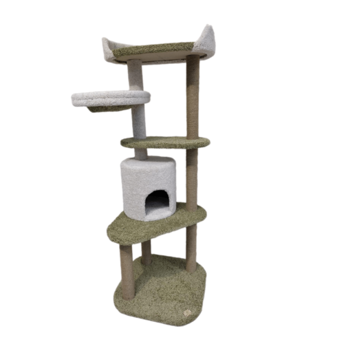 ���� ������� ��������-���������� ��� ���� 