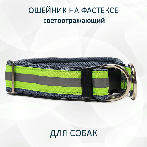 ���� ������� ��� ����� totemica �� ��������������� ������ 