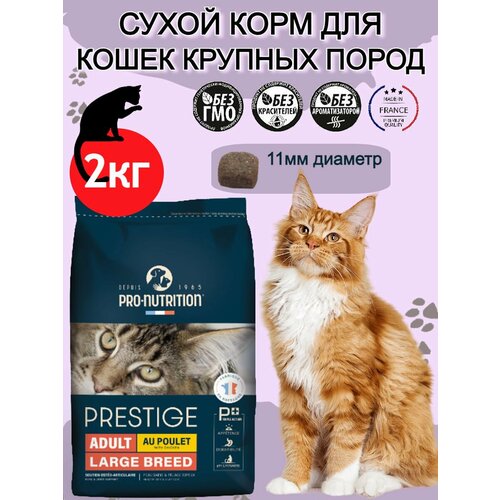        ,        Prestige Adult large Breed (2 )   -     , -  