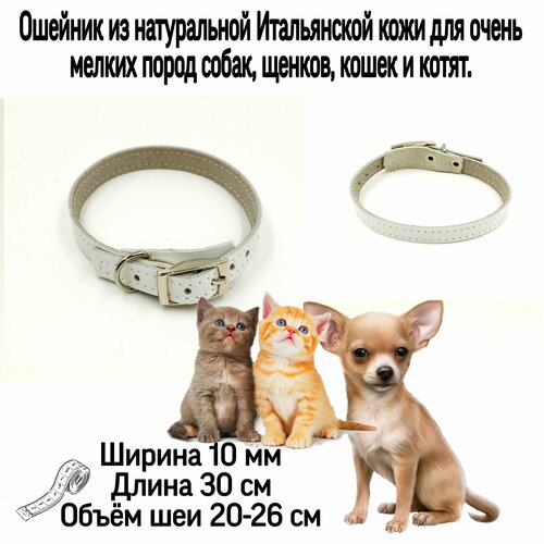 ���� ������� �� ����������� ����������� ���� ��� ����� ������ ����� �����, ����� � ������, �����. ������ 10 ��, ����� 30 ��, ����� 20-26, ������ ������