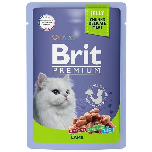   Brit Premium       85   -     , -  