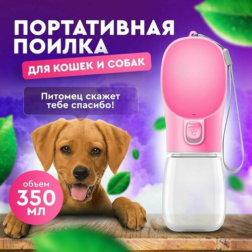 ���� ����������� ������ �������/��������, ����������� ��� �����, �����, ��������, ������ ������