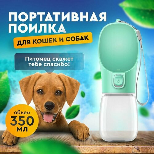 ���� ����������� ������ �������/��������, ����������� ��� �����, �����, ��������, ������ ������