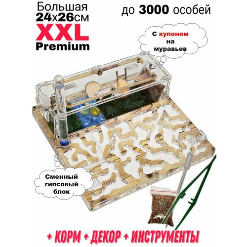     XXL Premium 24*26      -     , -  