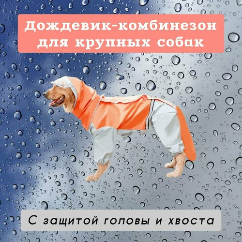 ���� �������� ��� ����� ������� �����, ���������/�����, 5XL, ������ ������