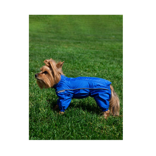 ���� �������� ��� �����, �.37-2 (������) �����, ������ ������