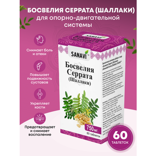 ���� �������� �������, 60 ���, ������ ������