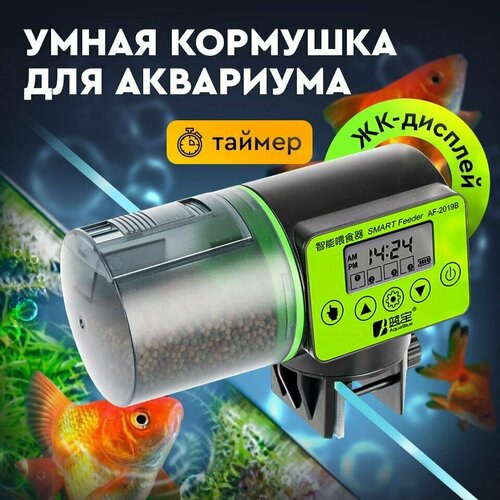 ���� �������������� �������� ��� ���������/ ������������ � ��������/�������� ��� ���, ������ ������