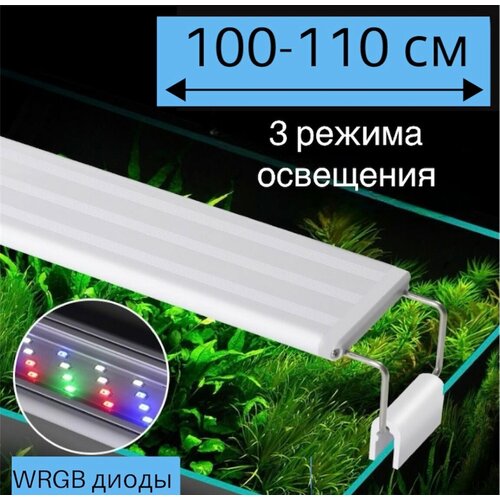  YR - 100 LED ( 100   110 ) / 3   /      -     , -  