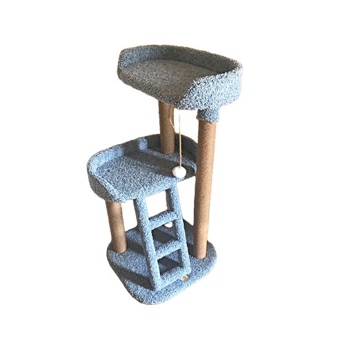 ���� ���������� ��� ����� � ��������� ��� ���� 