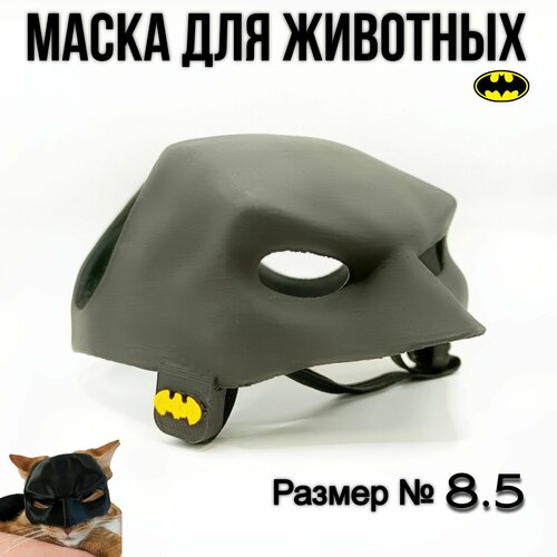 ���� ����� ��� ���� ������, ������ ������