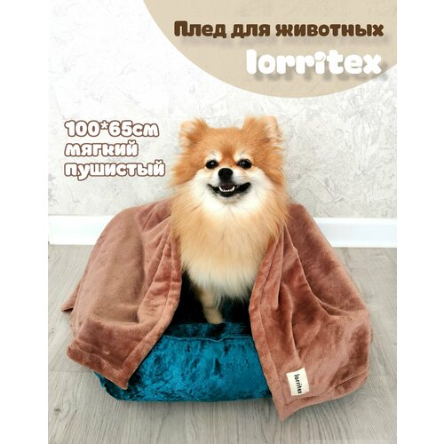 ���� ����, ���������, ������, ����� ��� ��������, ����� � ����� Lorritex 100*65��, �����, ������ ������