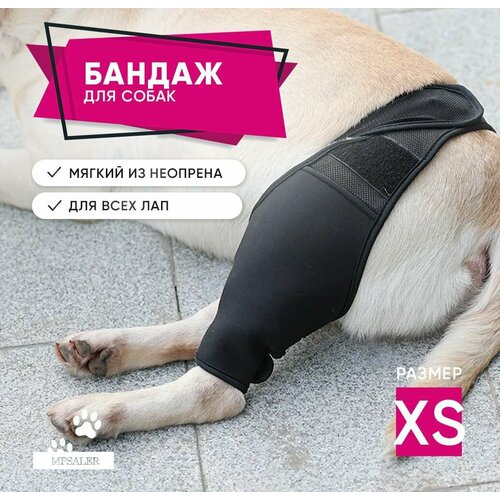 ���� ������ �� �������� � �������� ������, ��������� ��� ���, �������� ������ ��� �����, ��� ������� ���, ����������� �� �������� � ������ ����, ������������ XS., ������ ������