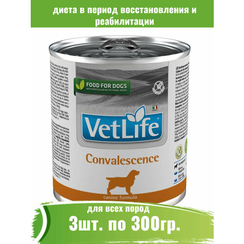  Farmina 3  300 Vet Life Dog Convalescence         -     , -  