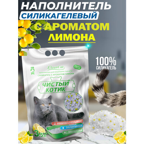 ���� ����������� ����������� ������������� ������ ����� ������� � ������ ������ 1,3 ��/3,5 �,, ������ ������