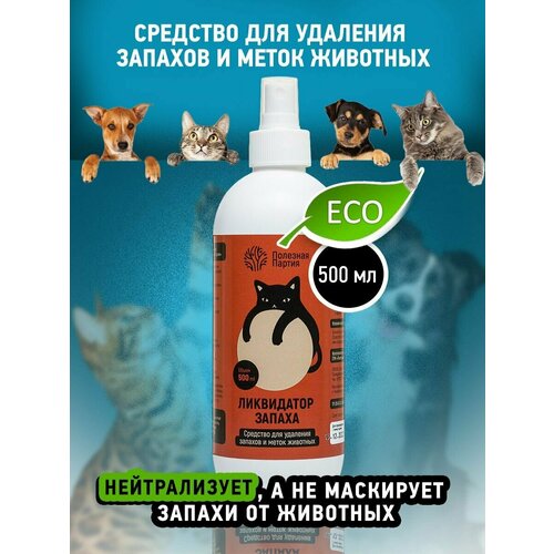 ���� ������������� ������ ��������, ����������� ������, ������ ������