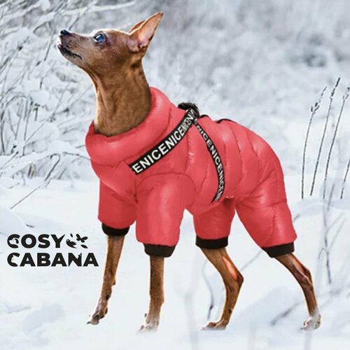 ���� ������ ������ ��� �����, ��������� � ������� ����� / ��������, ������������ ��������, ������������ ������� � ��� ����� / ������ 12, �������, ������ ������