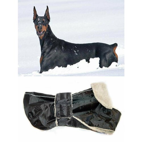 ���� ������ ������ ��� ����� �� ���� ������ 65, ������ ������