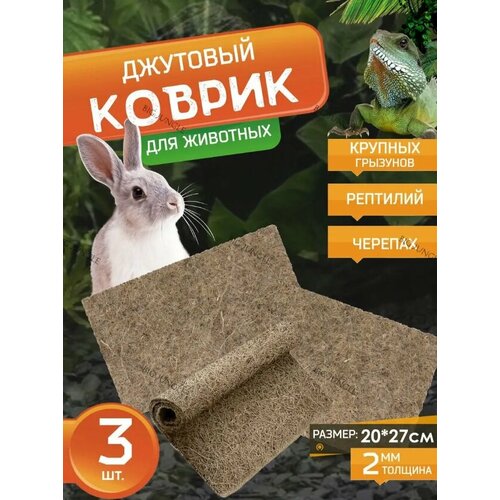 ���� ������ �� �����, ��������� ��� ��������, ������ ��� ��������, ������� � ������, ������ ������