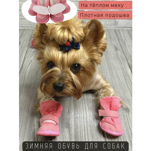 ���� ������ ����� ��� ����� �� ���� ��� ����� � ������� ����� / ������� / ������ 4, ������ ������