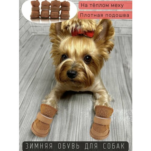 ���� ������ ����� ��� ����� �� ���� ��� ����� � ������� ����� / ���������� / ������ 3, ������ ������