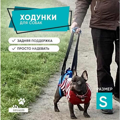 ���� ������� ��� �����, ��������� ������ ��� ������� � �������������� �����. �������������� ������, ������ S., ������ ������