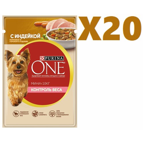    Purina ONE       ,  ,      85 20    -     , -  