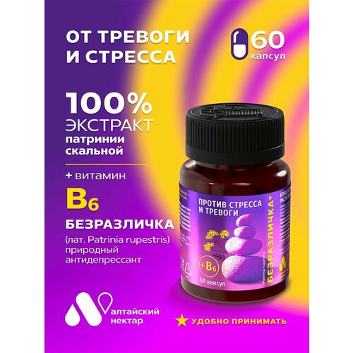 ���� �������������� �� ������ ����������� + ������� �6, ������ ������