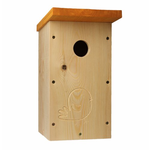 ���� ���������� ������� 