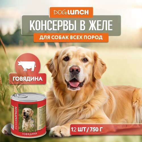      Dog Lunch  1 .  12 .  750    -     , -  