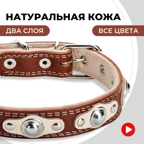 ���� ������� ������� ��� ������� � ������� �����, ��� ������ ������� �����, �����������, ������ ������