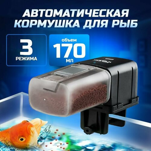 ���� �������� ��� ���������/ ������������ � �������� ������/�������� ��� ���, ������ ������