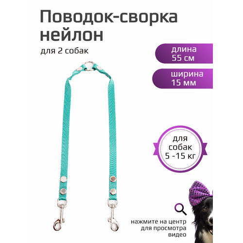 ���� ������ ��������� ��� ���� ����� ��������� ����� ������ 55 � 15 �� (���������), ������ ������