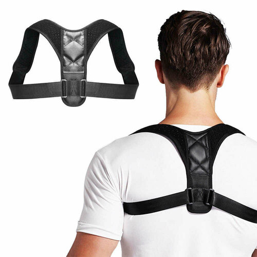    /     Posture Support NY-15 ,  ()   -     , -  